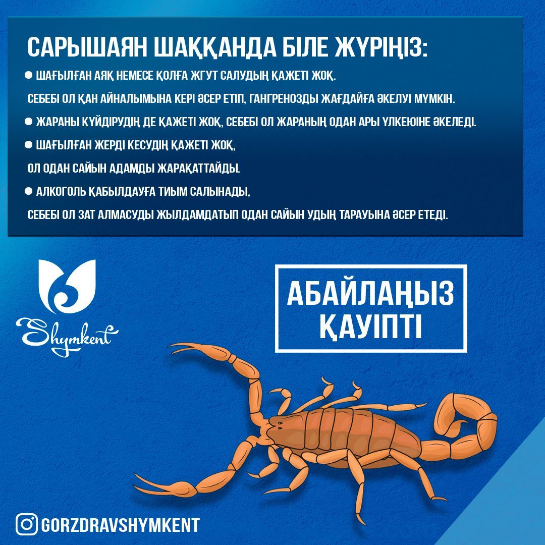 Жақсы сапада шырынды есектер