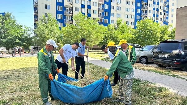 ауланы