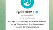 EgovKzBot2.0