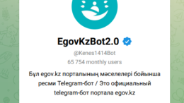 EgovKzBot2.0