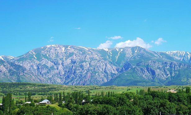 туризм саласын