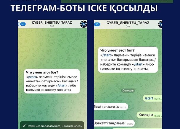 CYBER SHEKTEU TARAZ