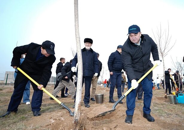 Түркістан облысының әкімі Нұралхан Көшеров тұрғындармен бірге ағаш екті