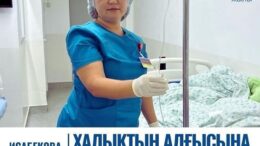 мейірбике