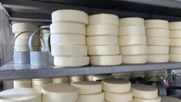 «Ауыл аманаты» жобасы аясында сүт өңдеу ісі дамып келеді