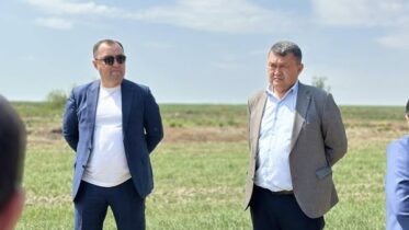 жер қатынастарындағы түйткілдер