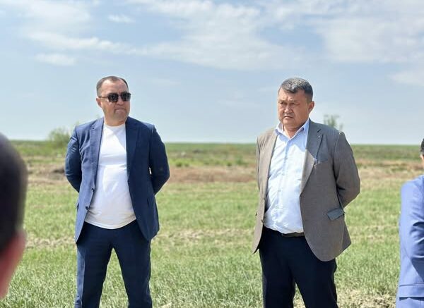 жер қатынастарындағы түйткілдер