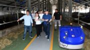 Түркістанның  тәжірибесіне