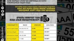 арнайы көлік нөмірлеріне