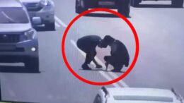 жол белгілерін бүлдірген