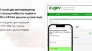 270.00 нысанды декларацияны