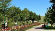 Көгалдандыру – жайлы өмірдің кепілі