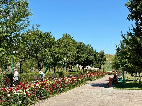 Көгалдандыру – жайлы өмірдің кепілі