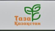 Шымкент қаласының Қаратау ауданында экологиялық мәдениетті қалыптастыру және қоршаған ортаны қорғау мақсатында тұрақты түрде түрлі акциялар мен науқандар ұйымдастырылып келеді. «Таза қала, жайлы өмір», «Таза бейсенбі», «Таза аула» сияқты экологиялық шаралар аудан тұрғындарының белсенді қатысуымен өтіп, ауданның тазалығы мен көркеюіне зор үлес қосуда. Қоршаған ортаның жағдайы – бүгінгі күннің ең өзекті мәселелерінің бірі. Осыған байланысты Қаратау ауданында экологиялық жауапкершілікті арттыру және тұрғындардың экологиялық мәдениетін қалыптастыру мақсатында ауқымды жұмыстар жүргізілуде. Бұл бағытта аудан әкімдігі мен жергілікті белсенділердің ұйымдастыруымен өткізіліп жатқан экологиялық акциялар мен науқандардың маңызы зор. «Таза қала, жайлы өмір» акциясы: Бұл акция қала тұрғындарының экологиялық жауапкершілігін арттыруға және тазалықты сақтауға бағытталған. Акция аясында ауданның көшелері, саябақтары және басқа да қоғамдық орындары қоқыстан тазартылып, ағаш көшеттері отырғызылады. Акцияға мектеп оқушылары, студенттер, мемлекеттік қызметкерлер және қарапайым тұрғындар белсене қатысады. «Таза бейсенбі» науқаны: Бұл науқан әр аптаның бейсенбі күні аудан аумағында тазалық жұмыстарын жүргізуге арналған. Науқанға қатысушылар өз аулаларын, көшелерін және жұмыс орындарын тазалайды. Науқанның мақсаты – тұрғындарды тазалықты сақтауға шақыру және қоршаған ортаға деген қамқорлықты арттыру. «Таза аула» акциясы: Бұл акция көпқабатты тұрғын үйлердің аулаларын тазартуға бағытталған. Акция аясында тұрғындар өз аулаларын қоқыстан тазартып, ағаш көшеттерін отырғызады және гүлдер егеді. Акцияның мақсаты – тұрғындарды бірлесіп аулаларын абаттандыруға шақыру және жайлы өмір сүру ортасын қалыптастыру. Экологиялық акцияларға қатысушылардың пікірінше, бұл шаралар ауданның тазалығын сақтауға және тұрғындардың экологиялық санасын арттыруға зор ықпал етеді. Қаратау ауданының тұрғындары экологиялық акцияларға белсене қатысу арқылы өз қалаларының тазалығын сақтауға және қоршаған ортаны қорғауға зор үлес қосуда. Бұл – экологиялық сананың қалыптасуына және жауапкершіліктің артуына ықпал ететін маңызды қадам.