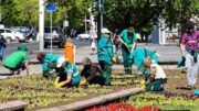 Жасыл желекке жаз мезгіліндегі күтім