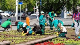 Жасыл желекке жаз мезгіліндегі күтім
