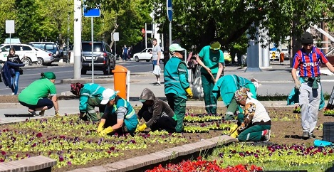 Жасыл желекке жаз мезгіліндегі күтім