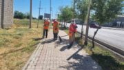 Тазалықшылардың еңбегін