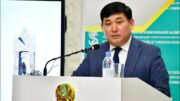 Тұрақты даму жолындағы табыстар