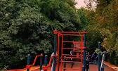 Дендросаябақта жаңа ойын