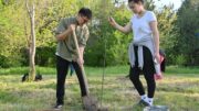 Қаратау ауданында экожүйені дамыту