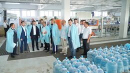 Арыста шағын және орта бизнес