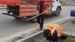 Қаратау ауданында тазалық жұмыстары күшейтілді