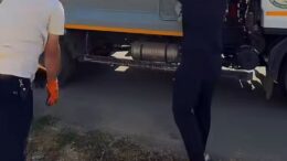 Қаратау ауданында сенбілік