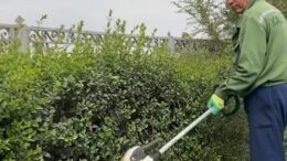 «Тазалық қызметкерлеріне барлық жағдай жасалып жатыр» – қала әкімі