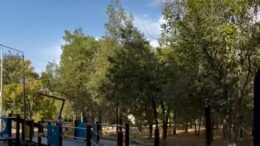 Дендросаябақта жаңа ойын және спорт алаңшалары орнатылуда