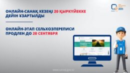онлайн-санақ