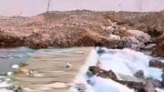 Қаратау ауданында су объектілеріне кезекті мониторинг жүргізілді