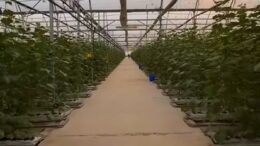 Ғабит Сыздықбеков