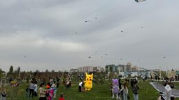 батпырауықтар фестивалі