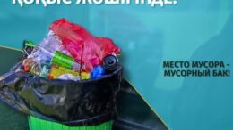 Қоқысты көрінген жерге тастау