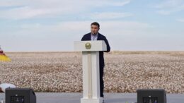 Түркістан облысында ауқымды «AQ-DALA» мақташылар фестивалі өтті