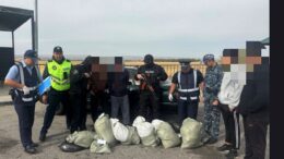 Жамбыл облысында полицейлер 66 келі есірткіні тасымалдау әрекетін тоқтатты