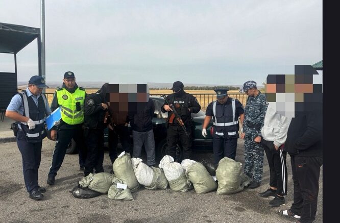 Жамбыл облысында полицейлер 66 келі есірткіні тасымалдау әрекетін тоқтатты