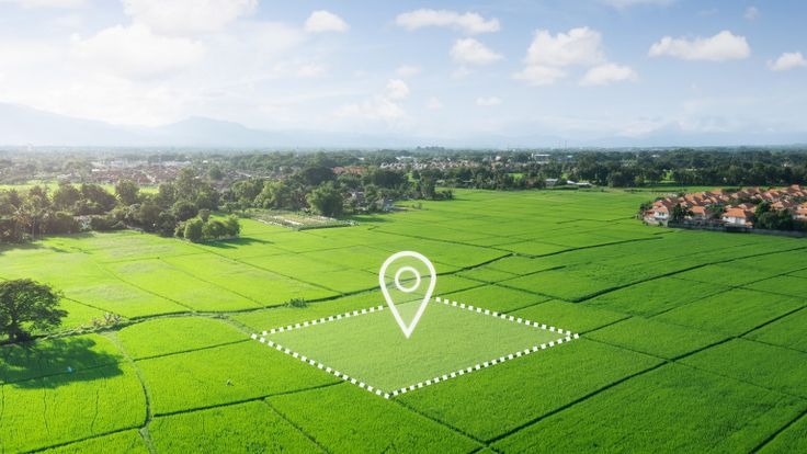 Қала тұрғынының құқығы