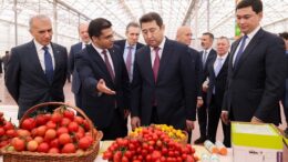 қызанақ өнімі