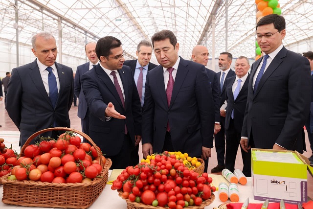 қызанақ өнімі