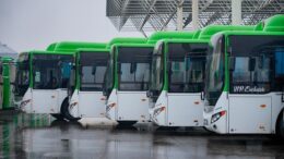 Шымкентте автобустардың қатысуымен жол апаттары жиілеген: 185 жол-көлік оқиғасы және бақылауды күшейтудің жаңа шаралары