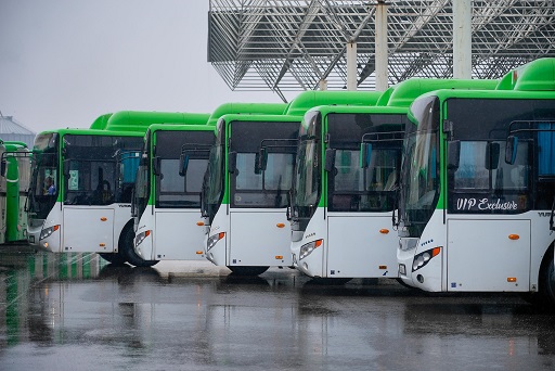Шымкентте автобустардың қатысуымен жол апаттары жиілеген: 185 жол-көлік оқиғасы және бақылауды күшейтудің жаңа шаралары