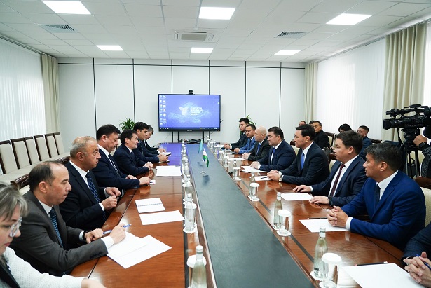 туризмді дамыту