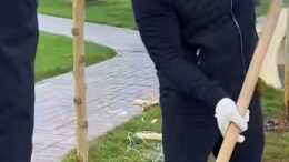 күзгі көгалдандыру