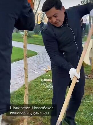 күзгі көгалдандыру