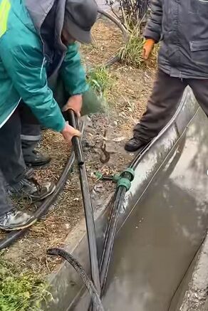 Жауын-шашыннан