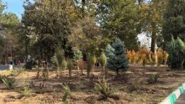 көгалдандыру және гендік қорды көбейту