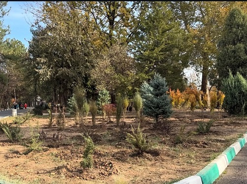 көгалдандыру және гендік қорды көбейту