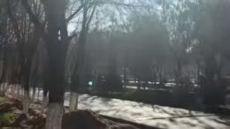 күнделікті тазалық жұмыстары